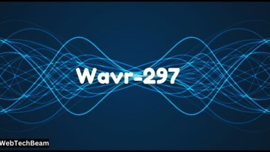What is Wavr-297