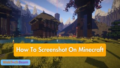 how to screenshot on Minecraft