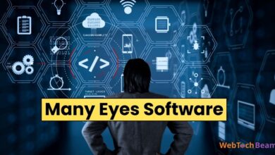 Many Eyes Software