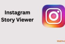 Instagram Story Viewer