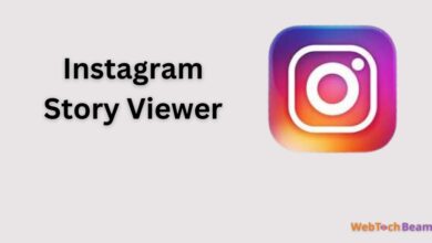 Instagram Story Viewer